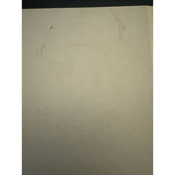 Feeling & Knowing: Making Minds Conscious FIRST EDITION Missing DJ HC Back MARKS - Picture 7 of 7